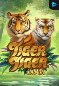 Bocoran RTP Slot Tiger Tiger Wild Life di WDHOKI