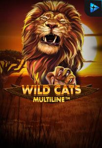 Bocoran RTP Slot Wild Cat Multiline di WDHOKI