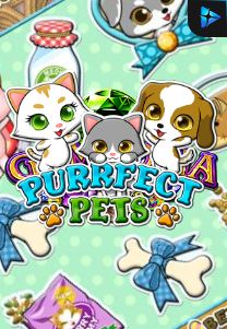 Bocoran RTP Slot Perfect Pets di WDHOKI