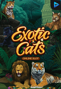 Bocoran RTP Slot exoticcats di WDHOKI