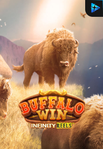 Bocoran RTP Slot Buffalo Win Infinity Reels di WDHOKI