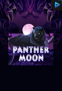 Bocoran RTP Slot Panther-Moon di WDHOKI