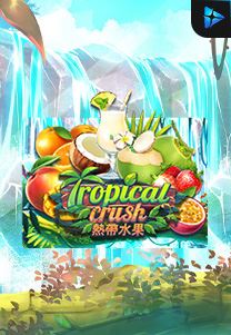 Bocoran RTP Slot Tropical Crush di WDHOKI