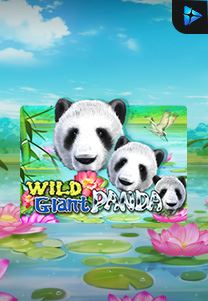 Bocoran RTP Slot Wild-Giant-Panda di WDHOKI